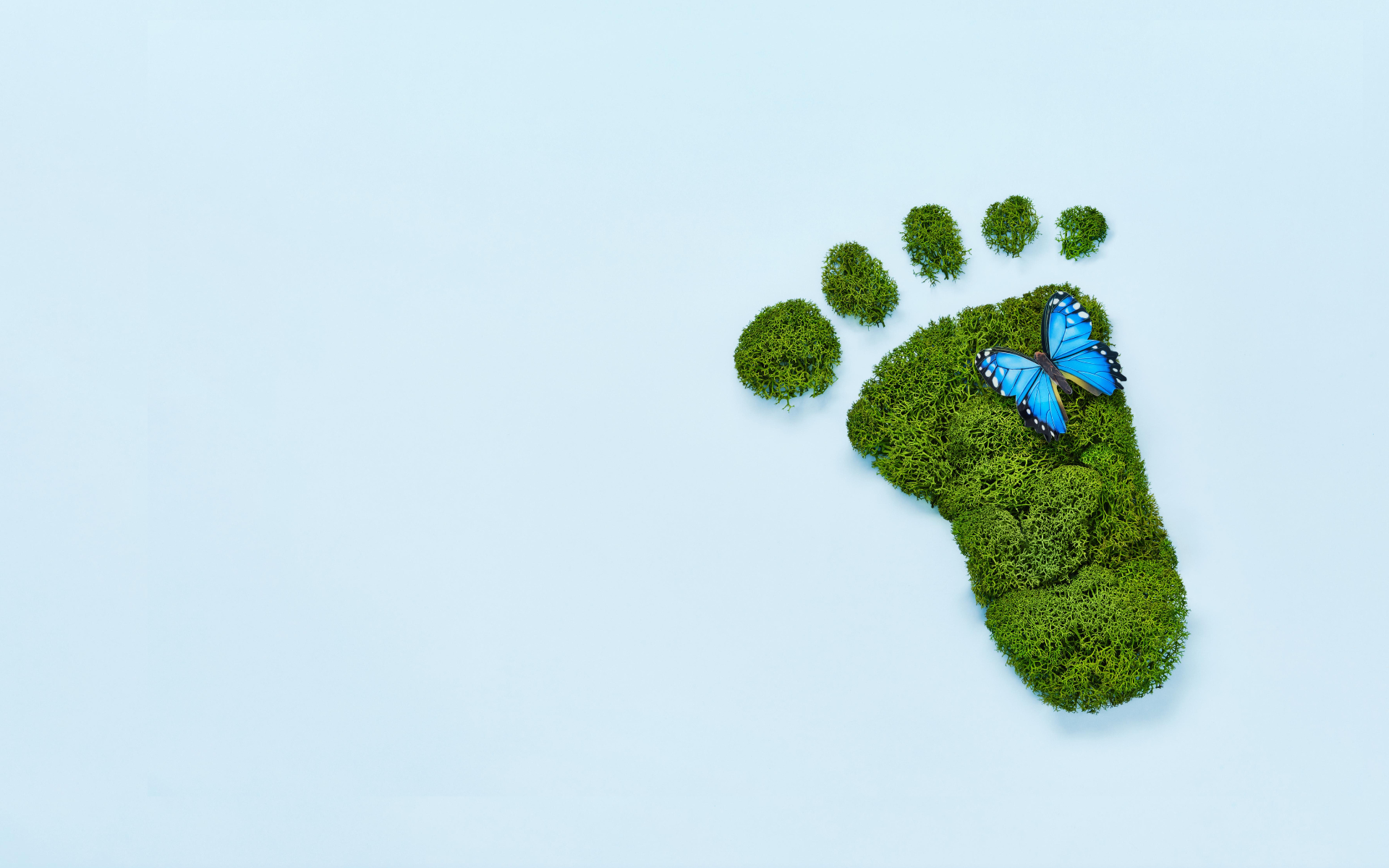Nachhaltiger Fußabdruck aus Moos mit Schmetterling